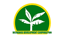 Delinanas Development Corp.