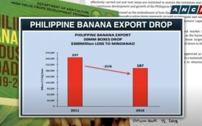 PH growers warn of coronavirus threat to Asia banana supply